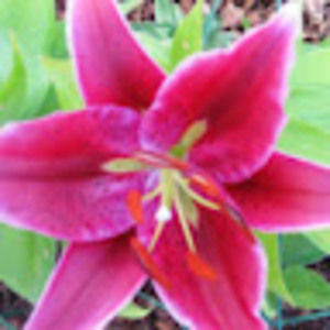 Meet your Posher, Cindy